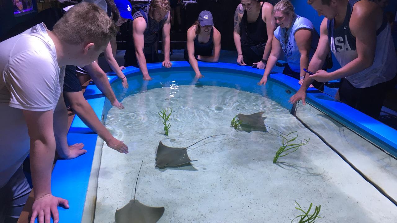 Deep Connections Keep Partnership Between Augustana and Butterfly House